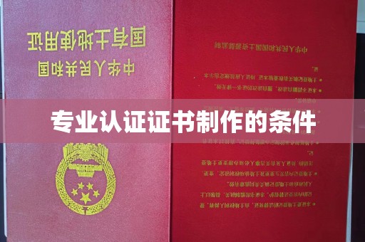 下营专业认证证书制作的条件
