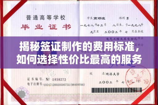 下营揭秘签证制作的费用标准，如何选择性价比最高的服务？
