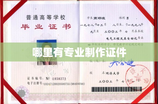 下营哪里有专业制作证件