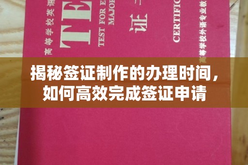下营揭秘签证制作的办理时间，如何高效完成签证申请
