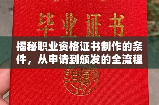 下营揭秘职业资格证书制作的条件，从申请到颁发的全流程解析